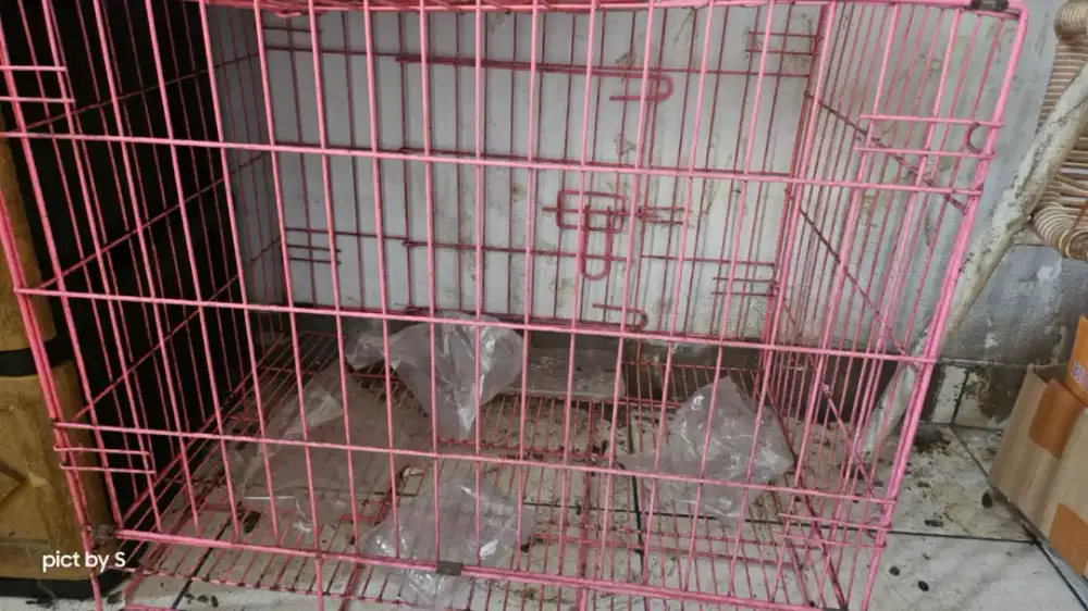 Kandang Anjing warna pink