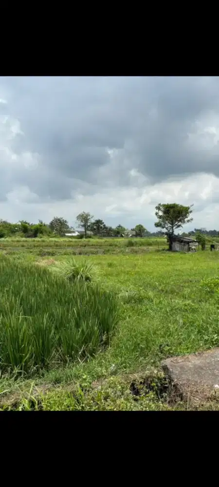 Dijual tanah kavling murah di baha badung bali