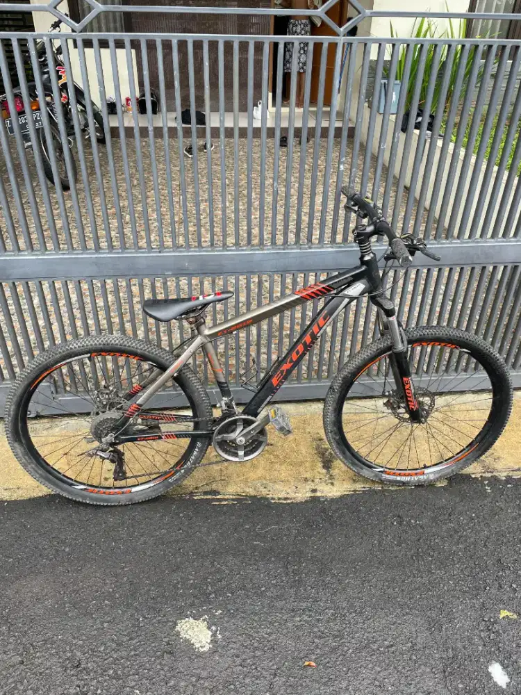 Sepeda gunung exotic