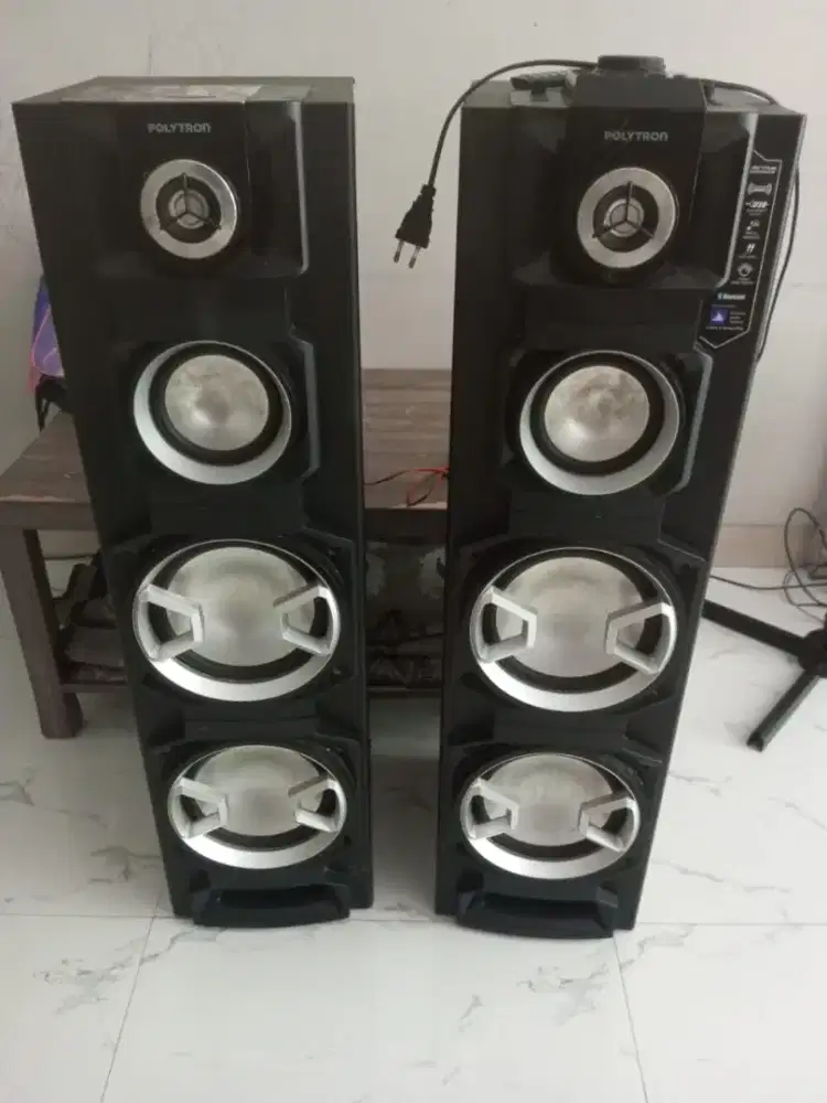 Speaker POLYTRON PAS 8E22