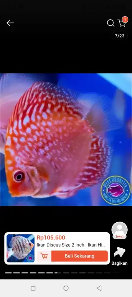 suzuki smash 2006 cerme