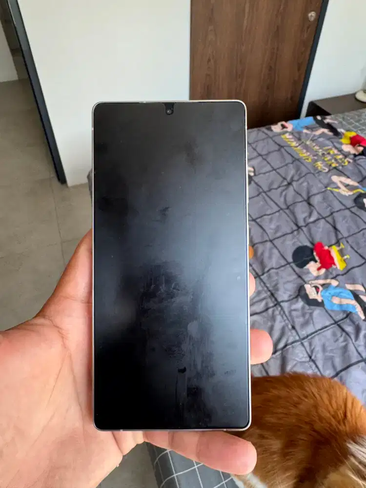 Samsung S25 Ultra 256