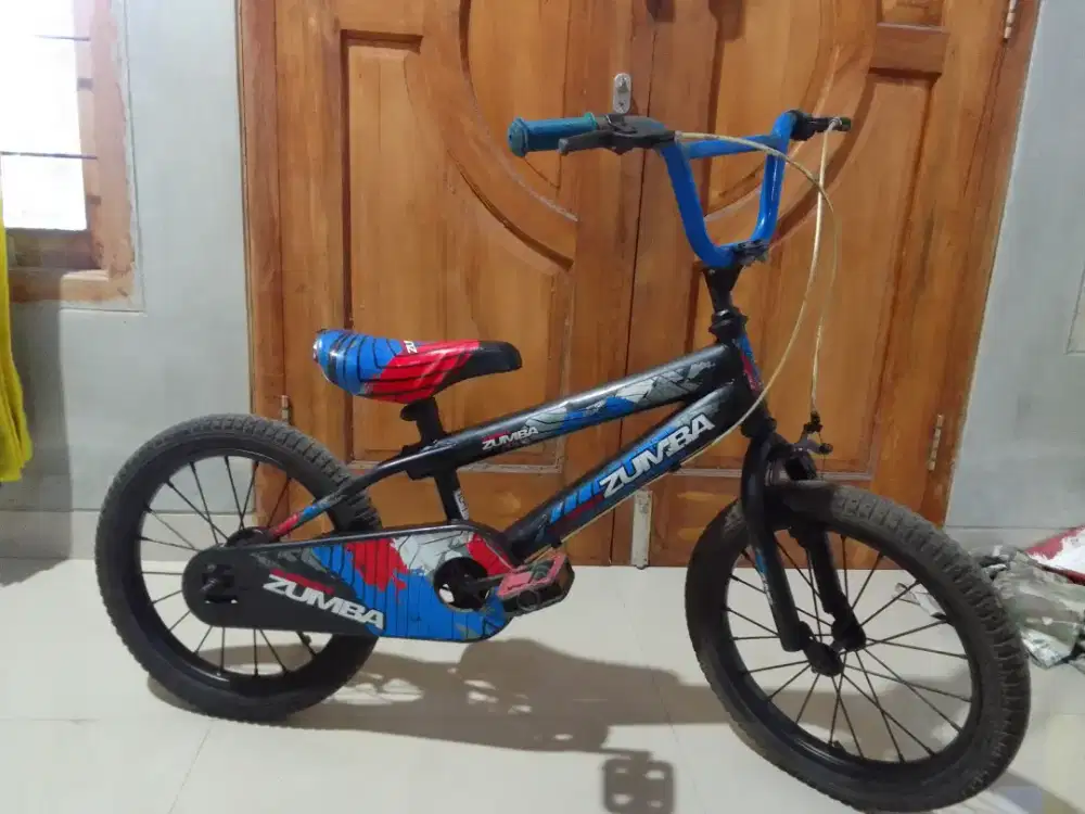 Sepeda anak 16, untuk usia 5 tahun