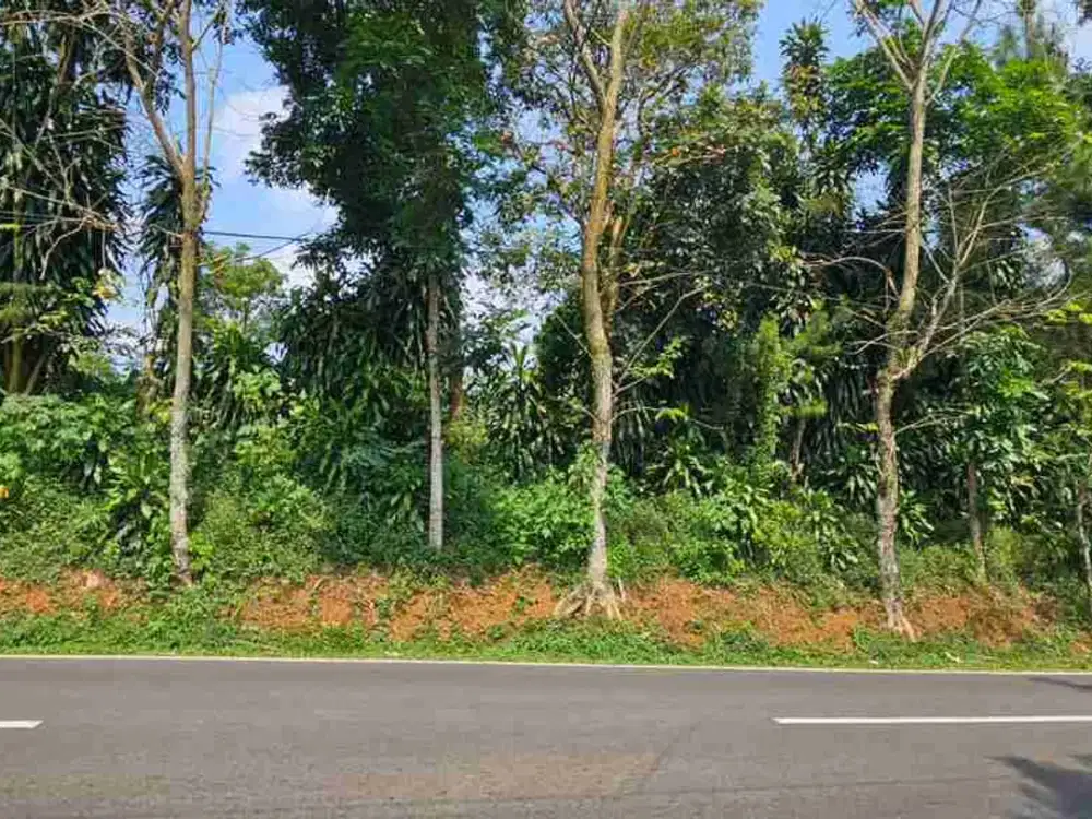 Tanah U/Gudang, 1 Km Dr Pintu Tol, Darangdan, Purwakarta.