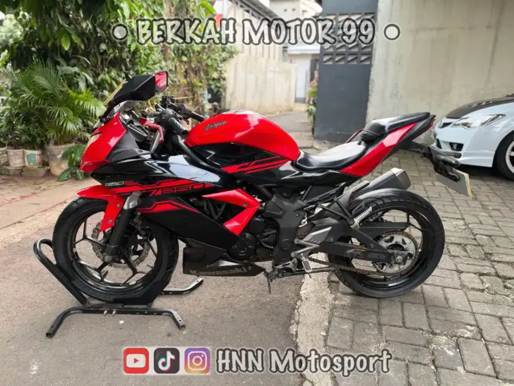 Ninja 250Cc 2017 Mono