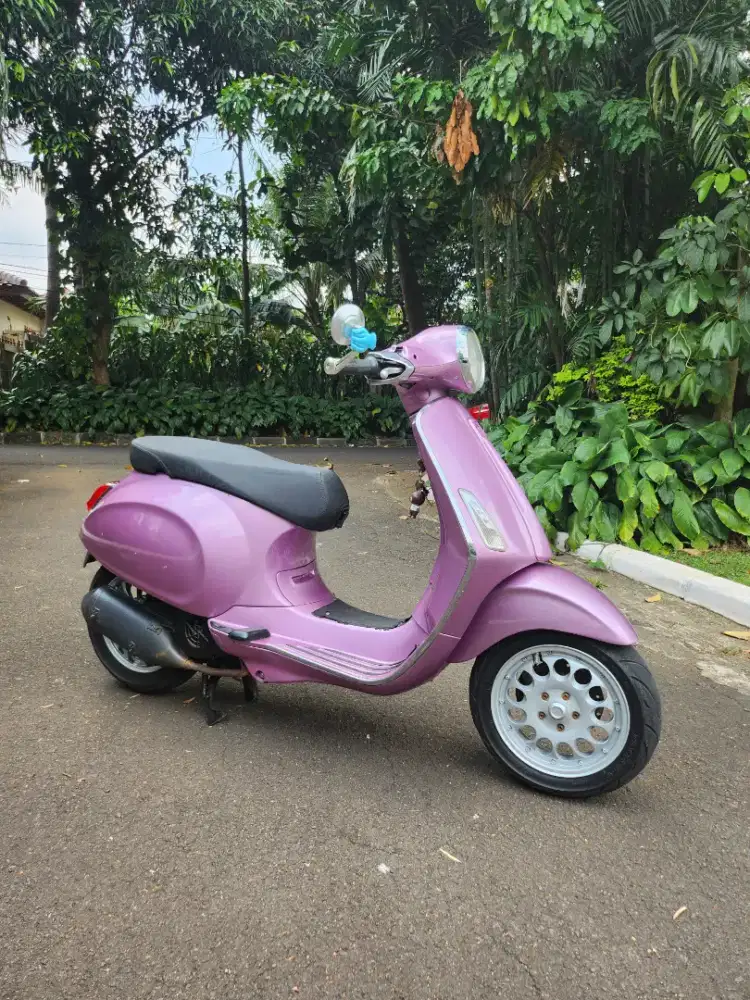 Vespa primavera 2014