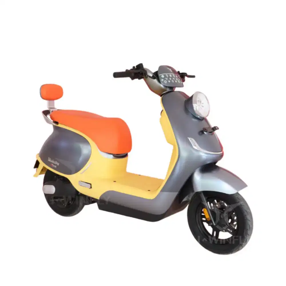 SEPEDA MOTOR LISTRIK T80
