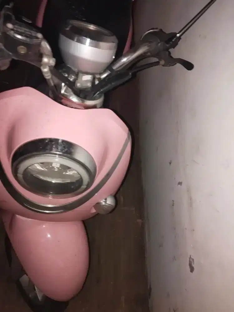 Molis Elvindo Shinta