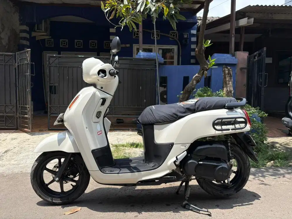 Fazzio 2023 modif culture