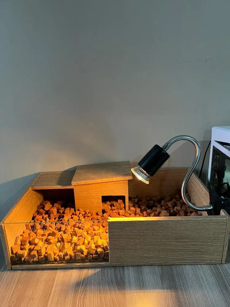 Torto Table kura sulcata