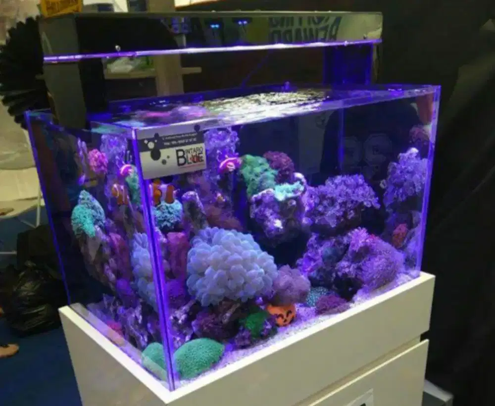 Aquarium air laut ikan hias berbagai ukuran lengkap meja dan isi