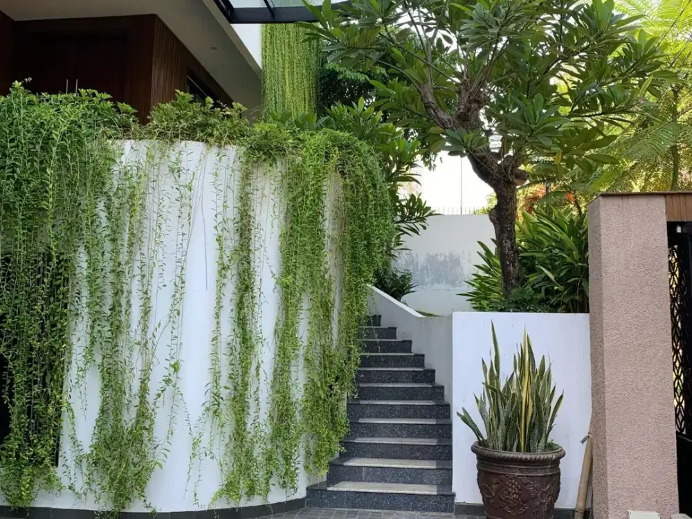 Rumah Mewah Siap Huni di Jakarta Selatan - PR 15727