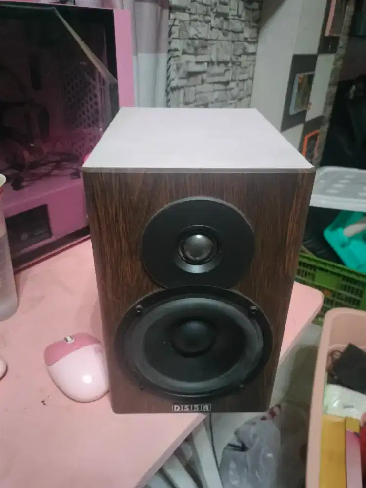 Audio speaker DS5A