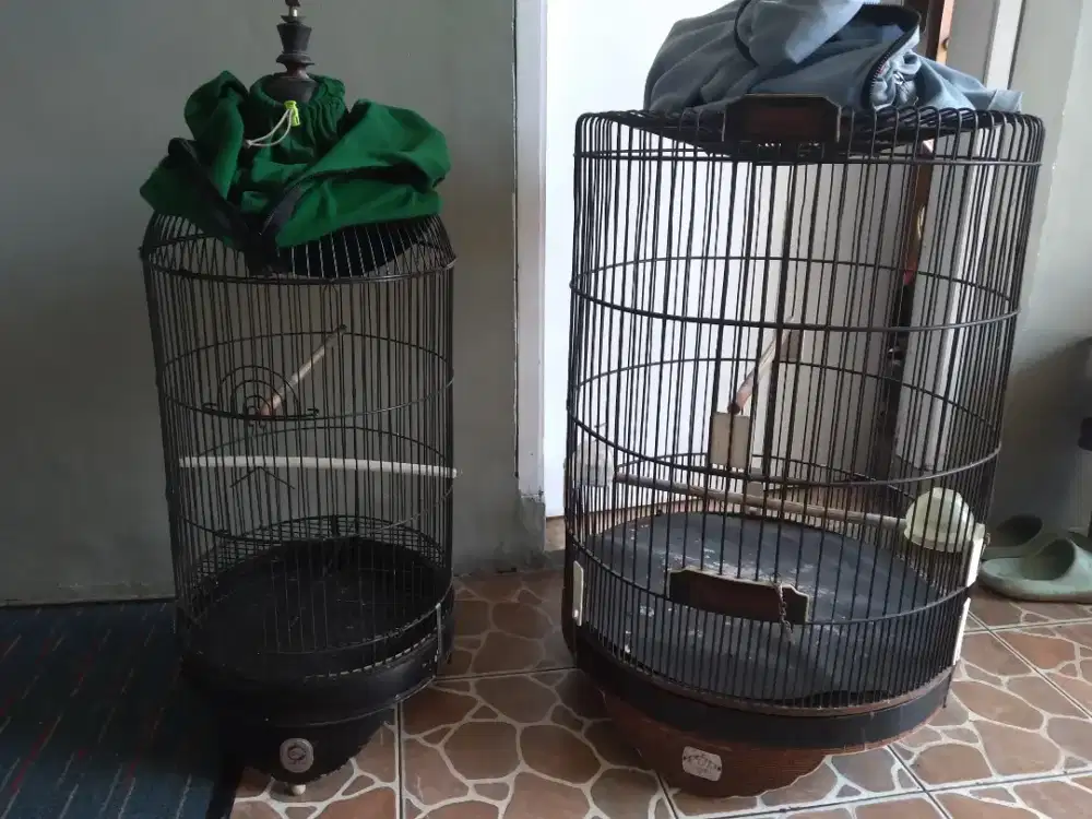 Kandang murai merek king