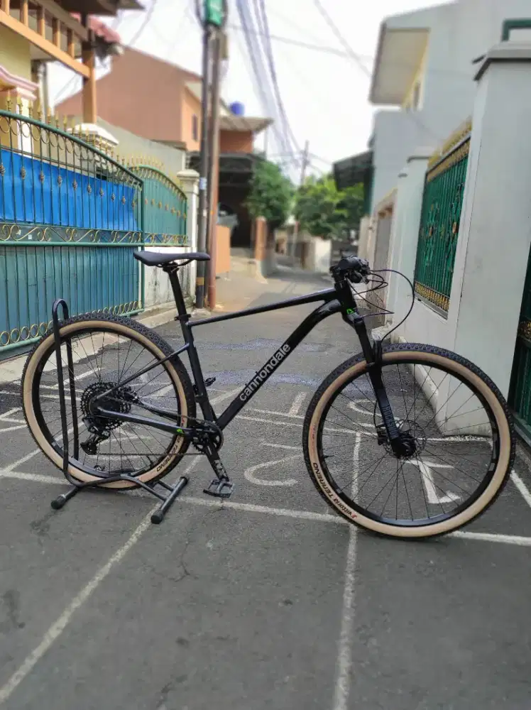 Cannondale Trail2 29r size L 2nd likenew speck Upgrade