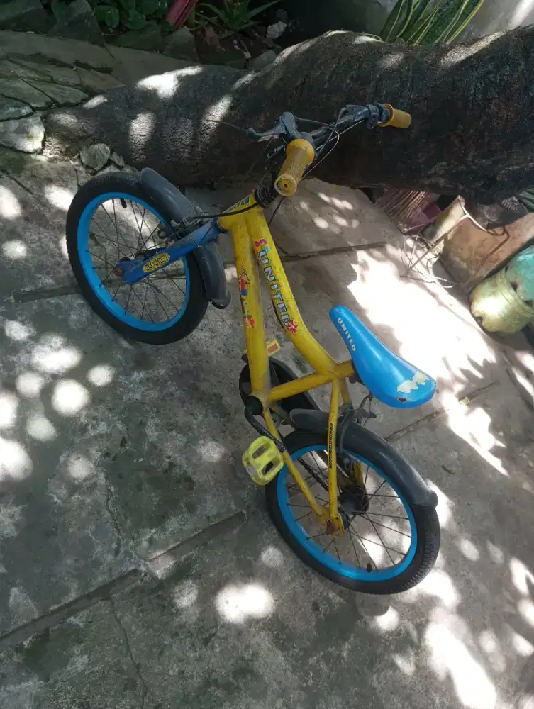 Sepeda anak united
