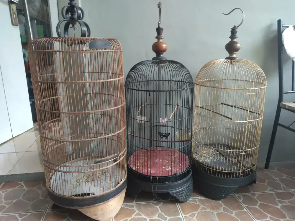 Kandang bekas lovebrid