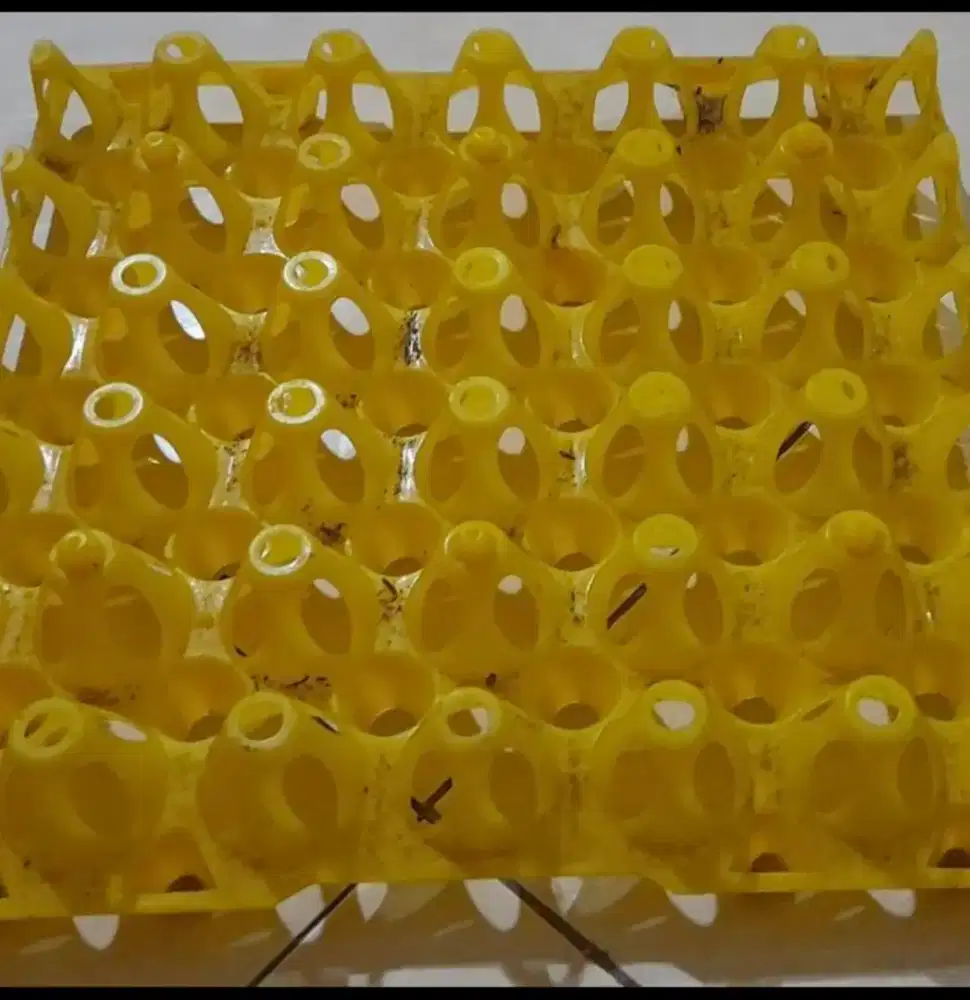 Tray telor bebek kondisi bekas