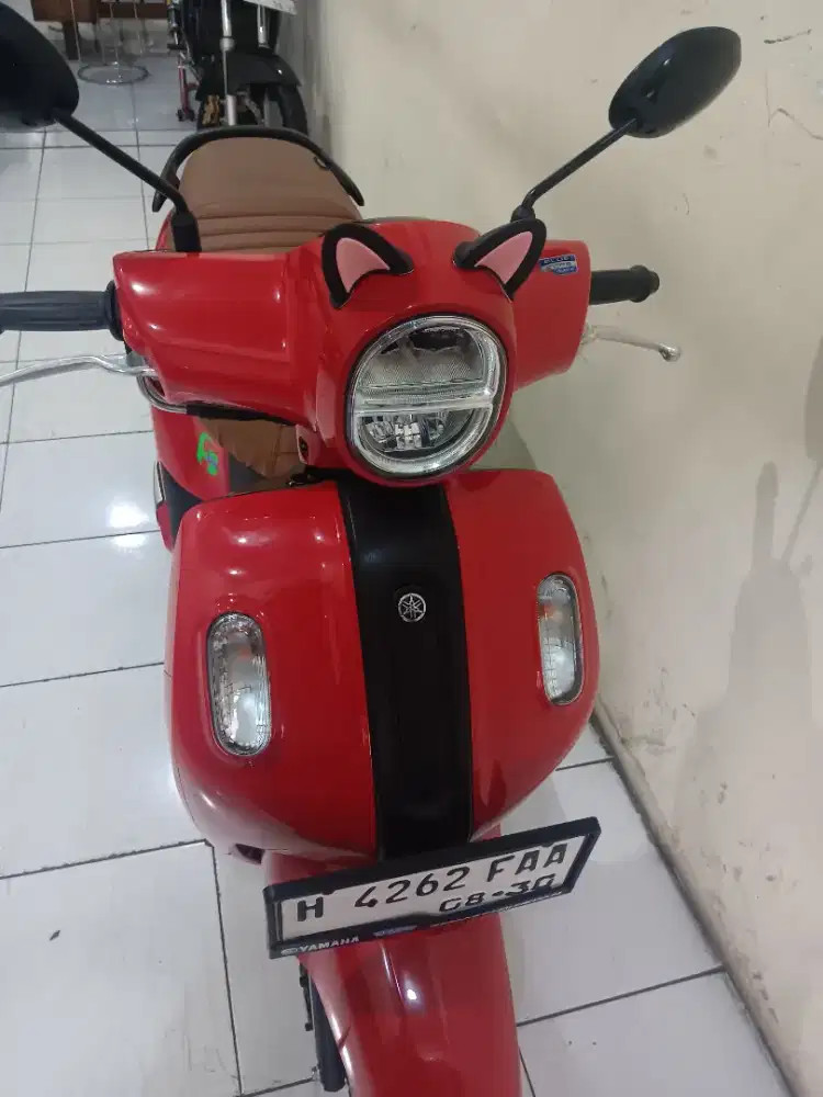 Fazzio kontak thn 2025