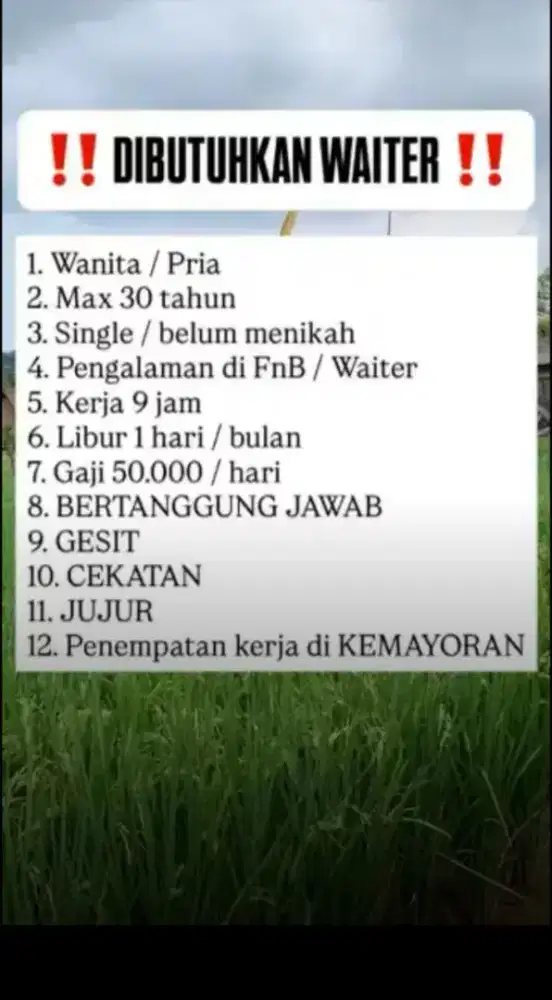 !! DICARI WAITER FOODSTREET !!