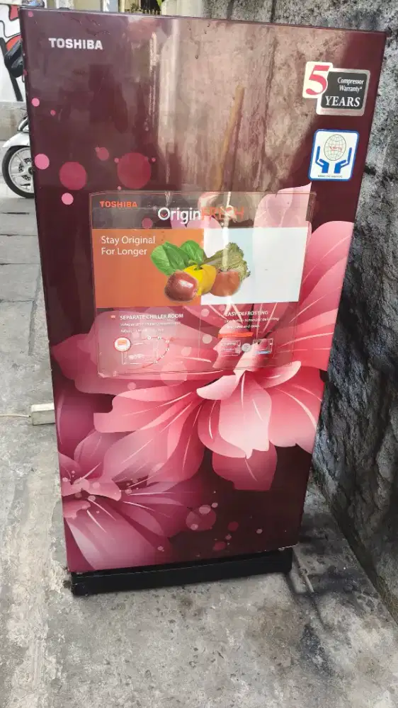 Kulkas toshiba 1 pintu