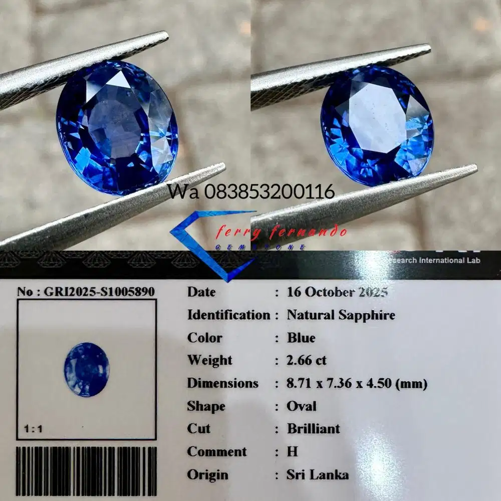 Bluesapphire Srilanka Cornflower Blue safir Natural Cristal Top