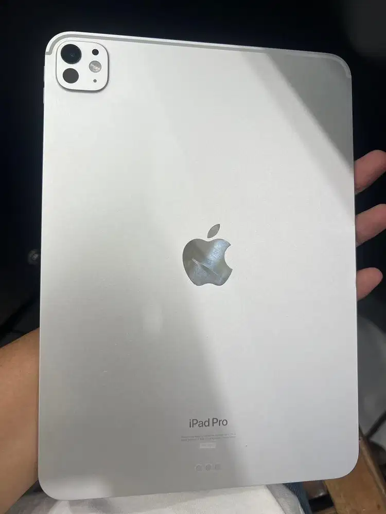 Ipad pro m4 512 gb resmi