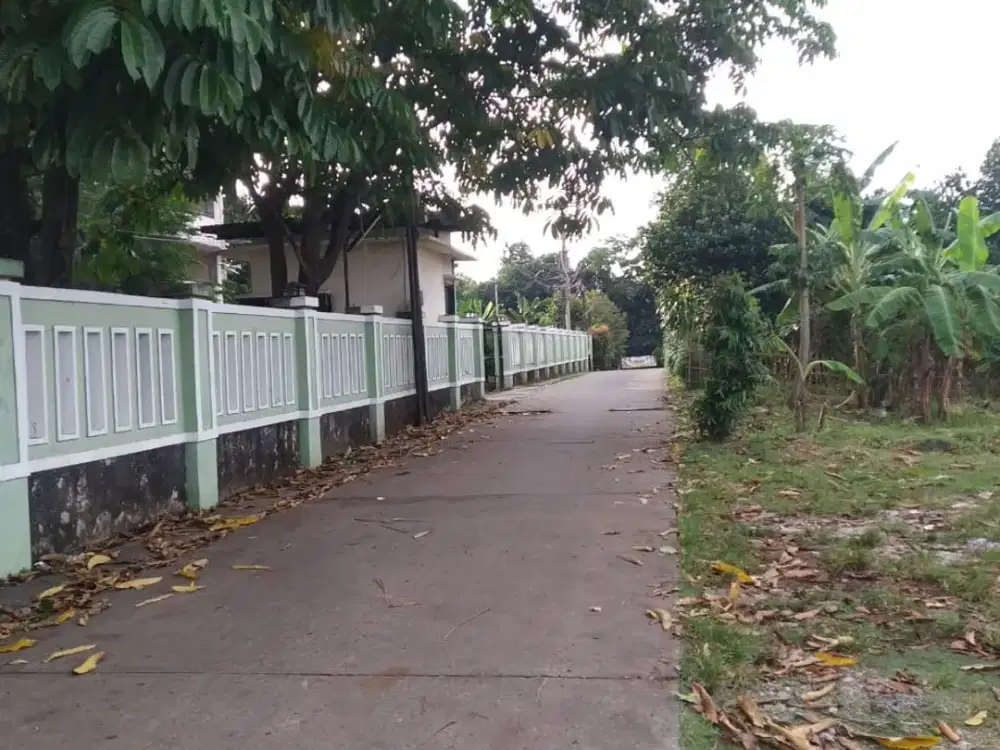 Tanah Kavling Tapos Murah 5 Menit Terminal Jatijajar, Bisa Bayar Bertahap