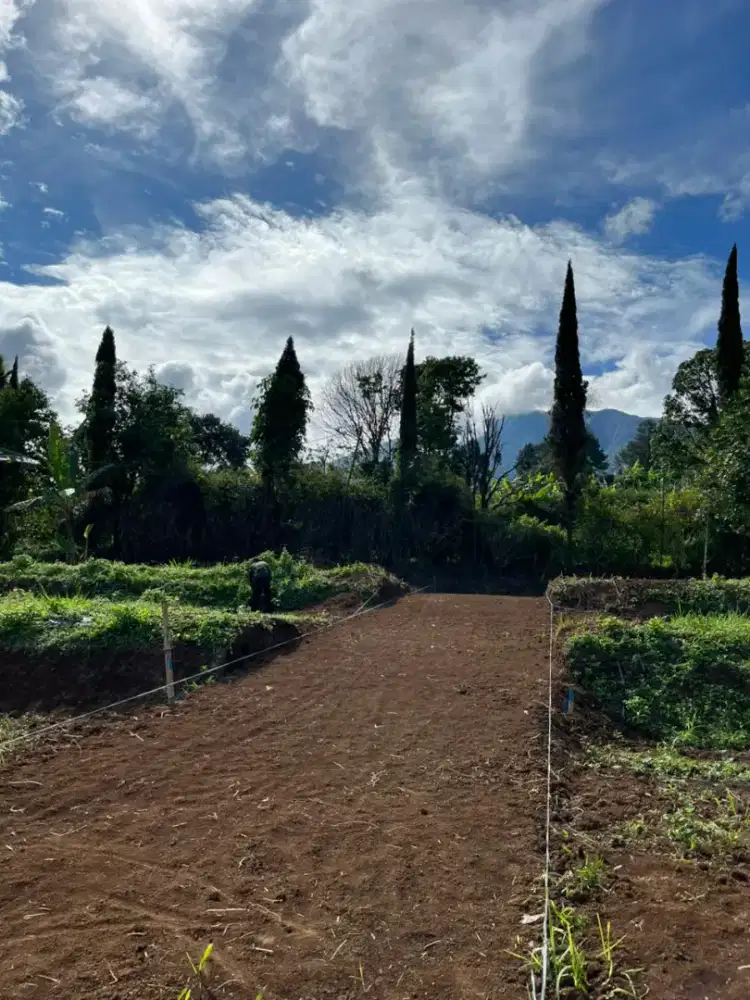 Di Jual Kavling Villa Bukit Pesona 3 Exit Tol Cigombong Bocimi Bogor