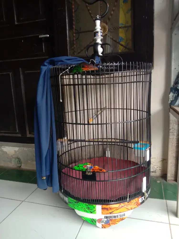 Kandang murai Rafi Jaya no 3 fulset 450 k pondok aren