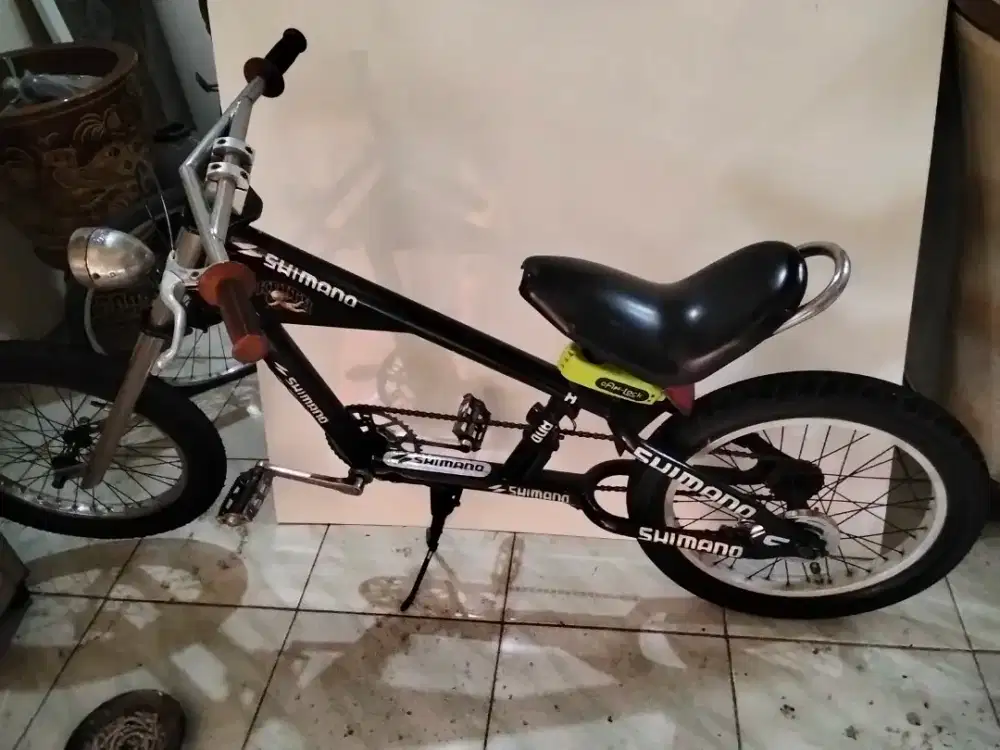 Sepedah Shimano japan