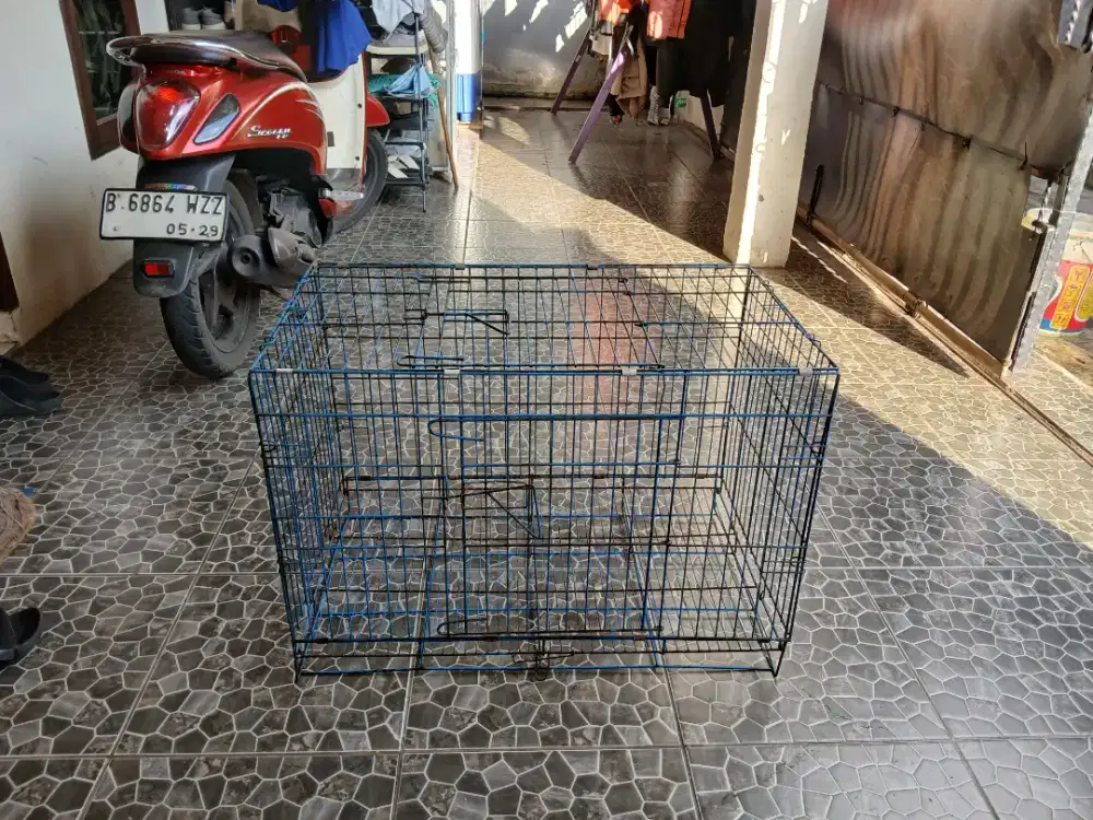 Kandang kucing besar