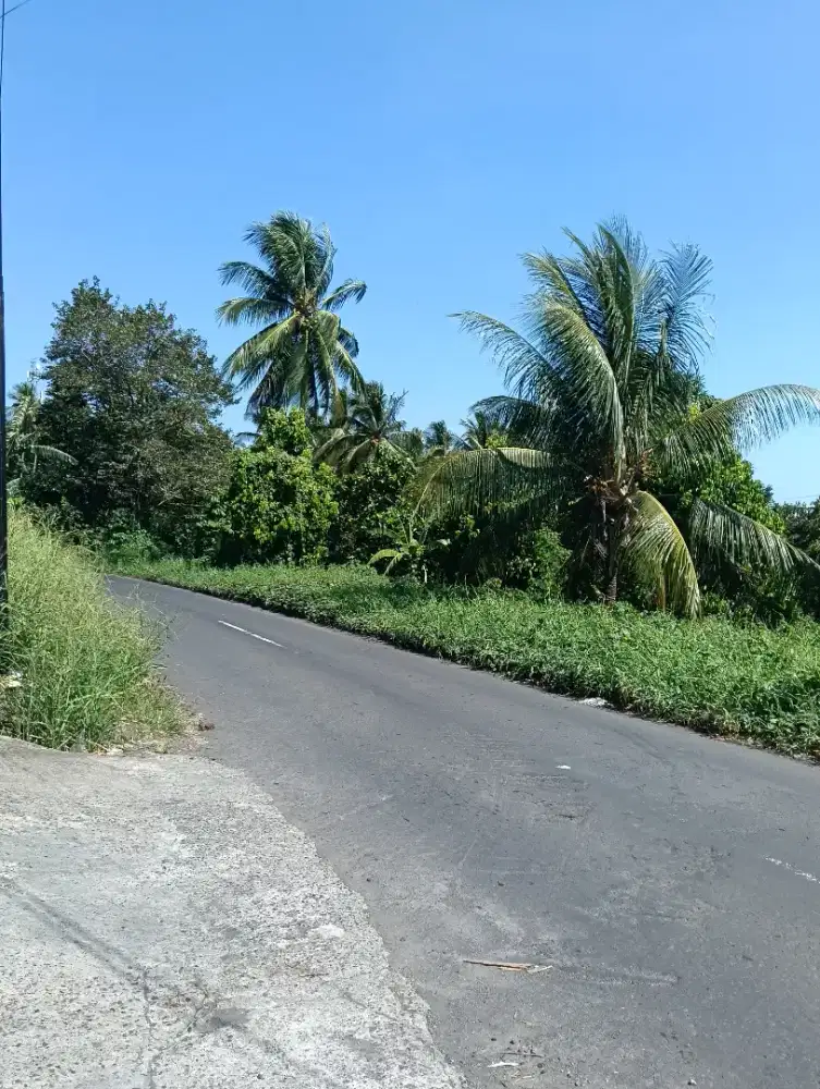 Tanah murah depan jalan raya Sawangan