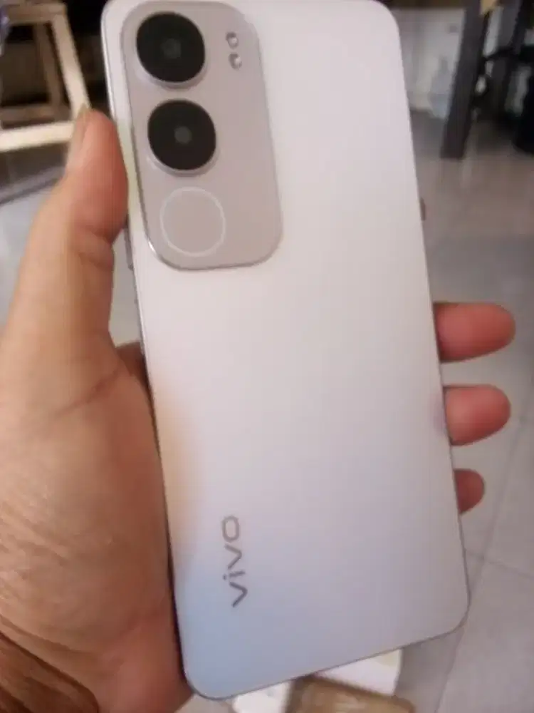 Hp Istri Vivo Y19s 4+4/128 Fullset