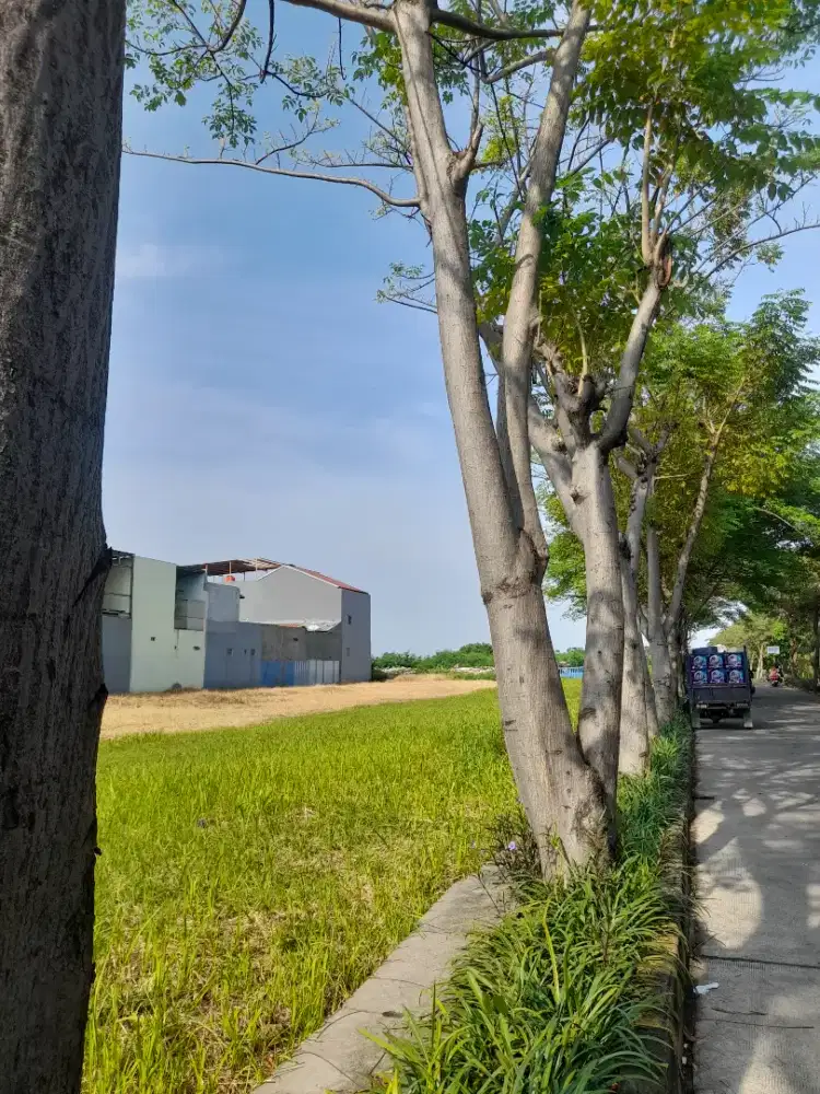 Antar jemput sekolah atau kerja