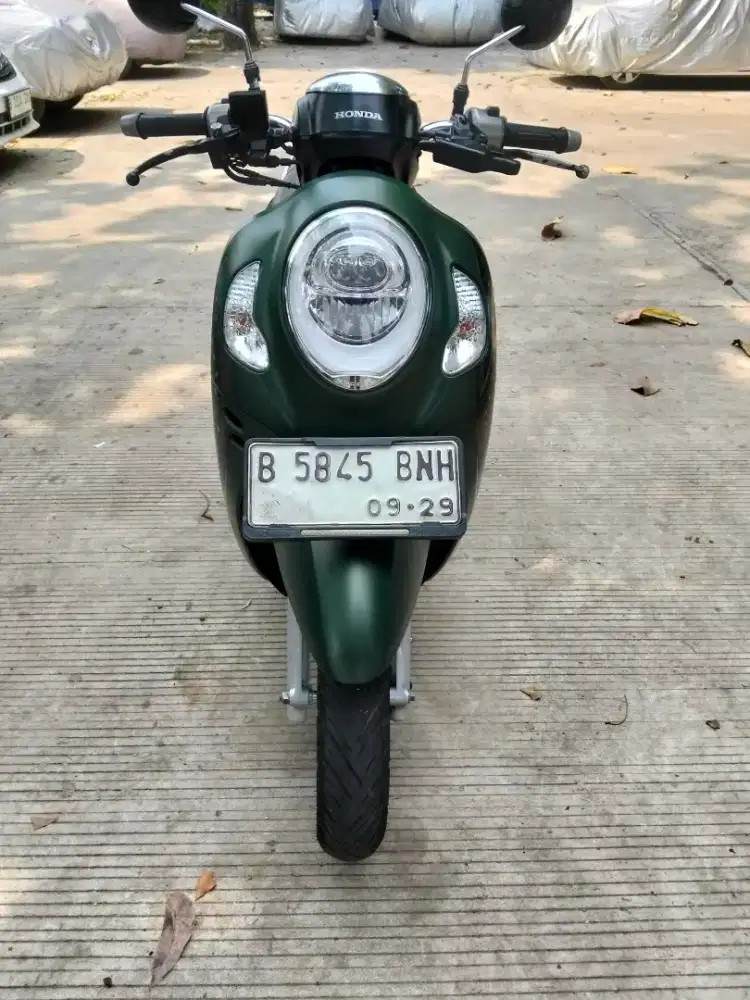honda scoopy 2024