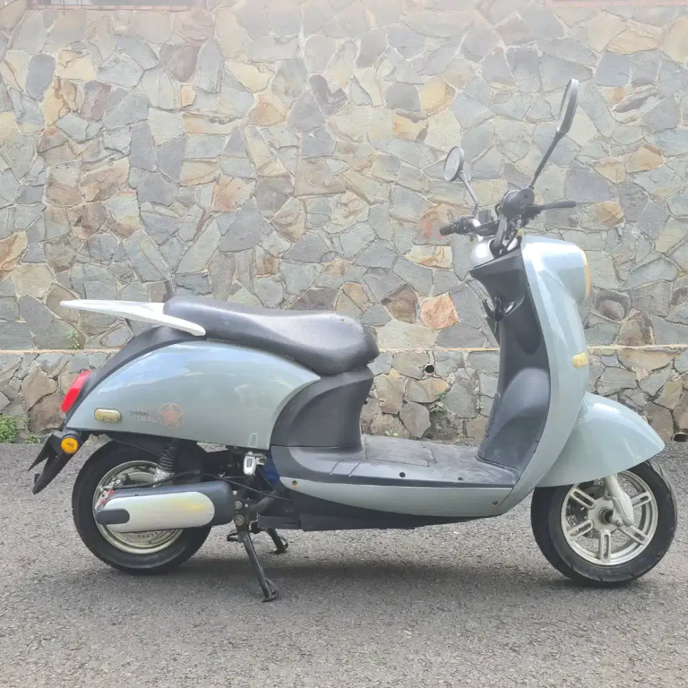 Motor listrik Uwinfly golden turtle