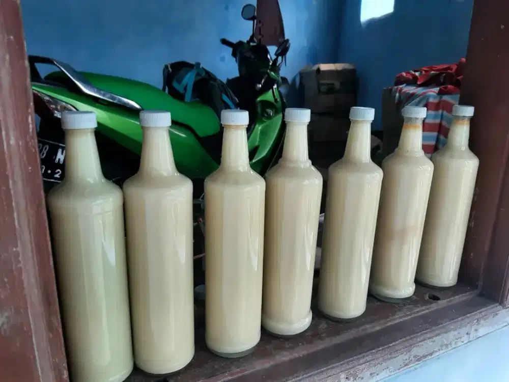 Madu putih royal jelly