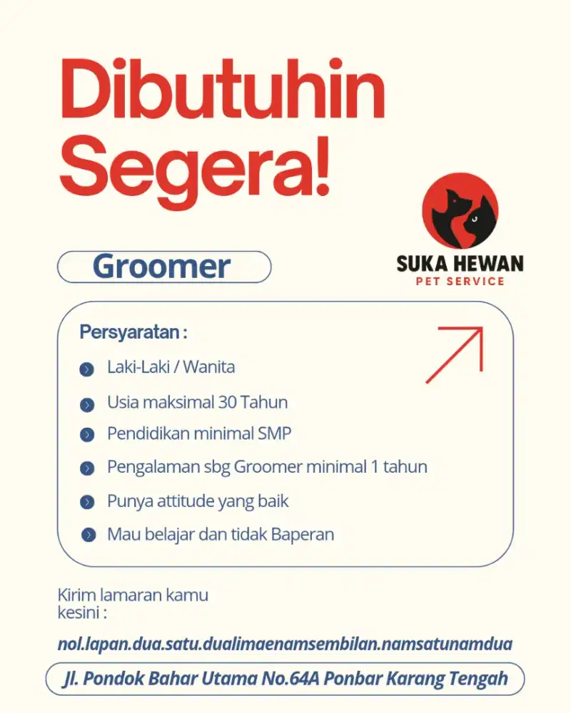 Dibutuhin Groomer Kucing & Anjing