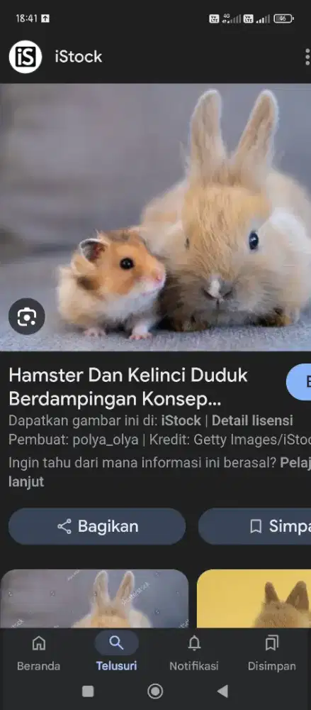 jual tempat kelinci murah ,minum, pelet, kelinci dan hamster