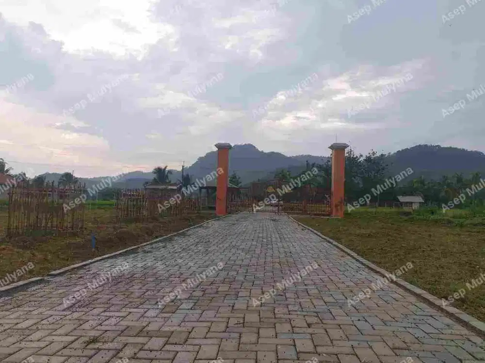 Tanah murah cocok untuk Tempat Tinggal Asri dan nyaman