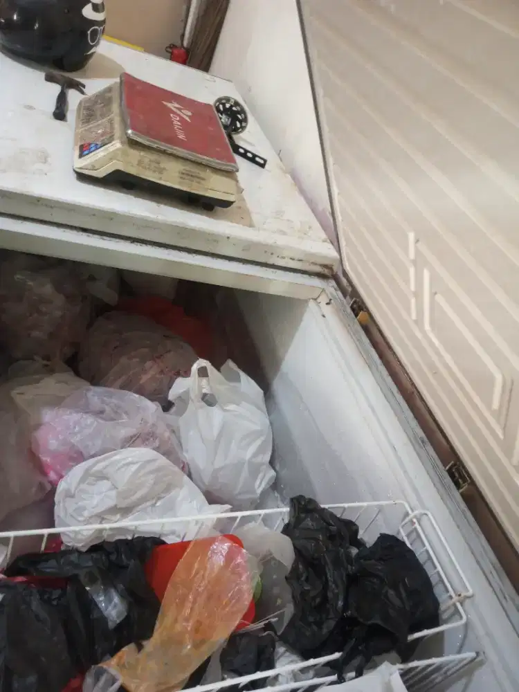 Jual Freezer 1200liter Gea