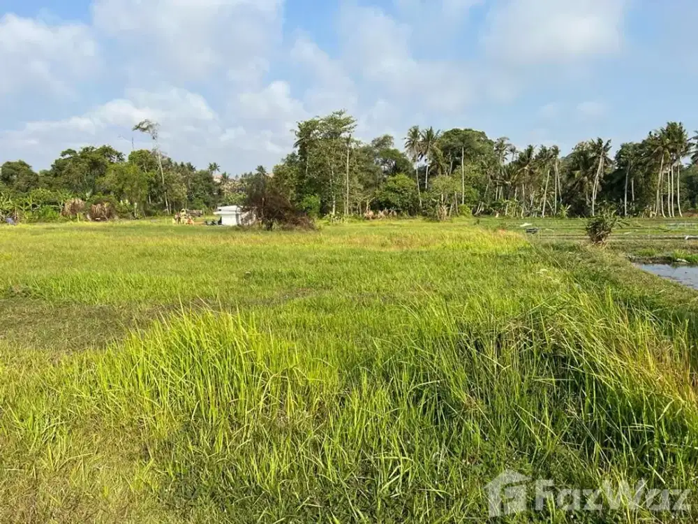 Land for sale in Nyanyi, Bali