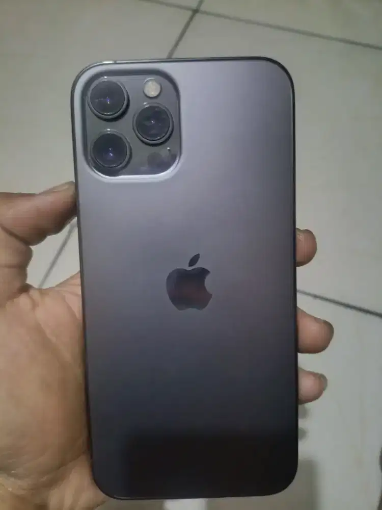 Iphone 12 promax 256gb ex inter