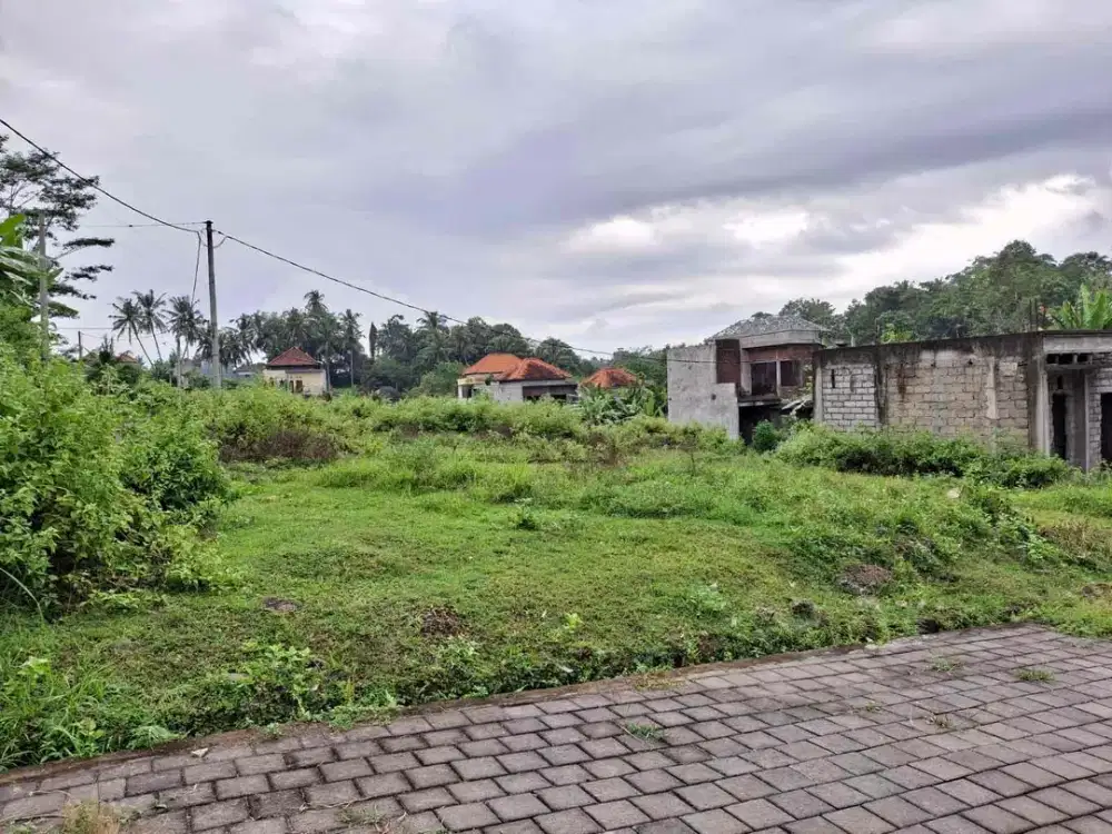 DIJUAL TANAH KAVLING 2.46 ARE DI TABANAN DD