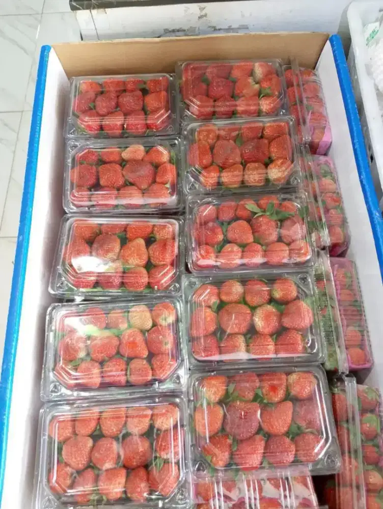 Strawberry 250gr dan 450gr