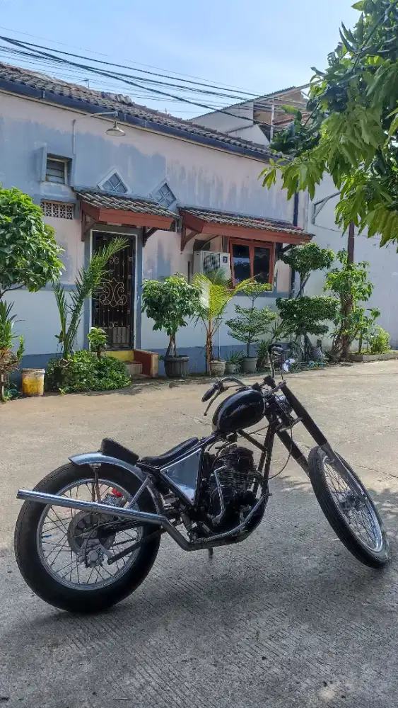 Yamaha Scorpio Custom