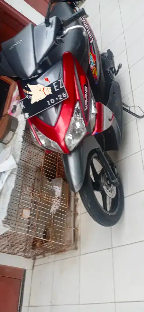 Vario karbu irit bandel