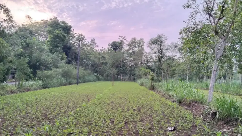 Jual tanah lokasi strategis