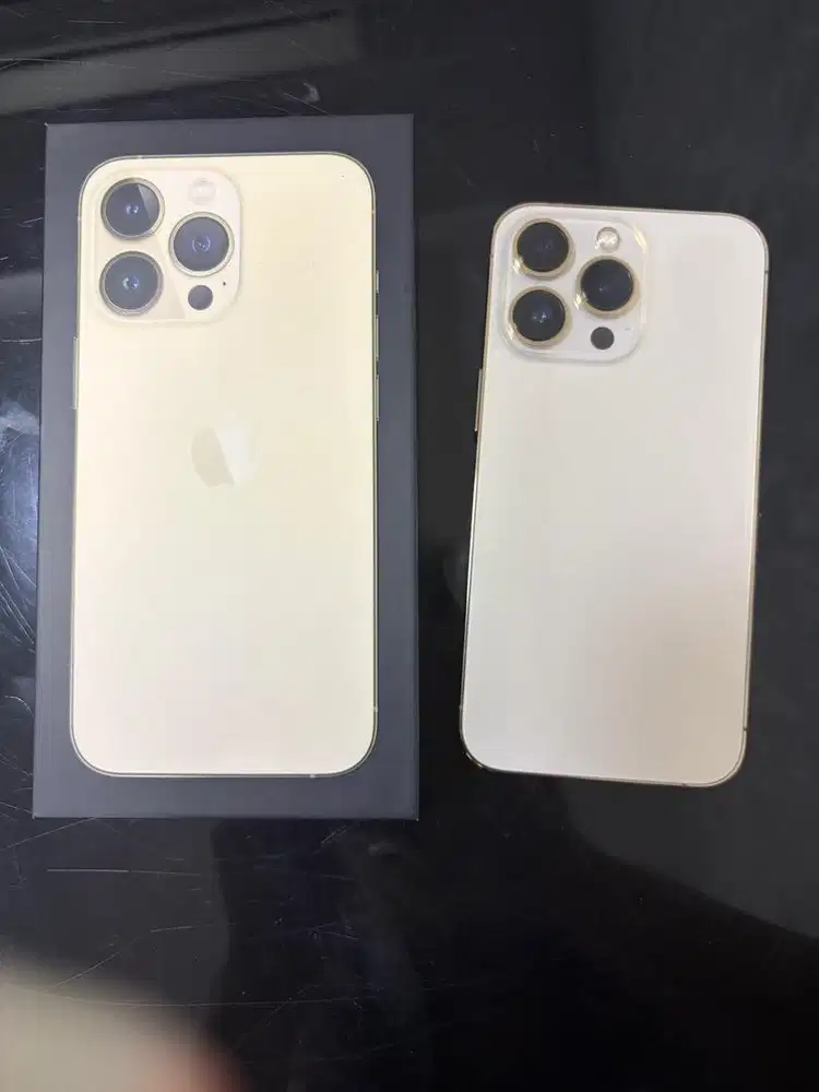 Iphone 13 pro 256gb ex garansi ibox mulus ori (tdk pernah servis)